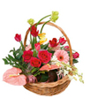 Basket Arrangement 