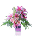 Arrangement of Cut Flowers 