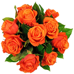 Affection - 12 Orange Roses