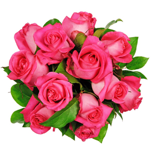 Affection - 12 Pink Roses