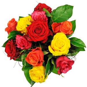 Affection - 12 Mixed Roses