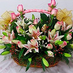 Grand Star Celebrity