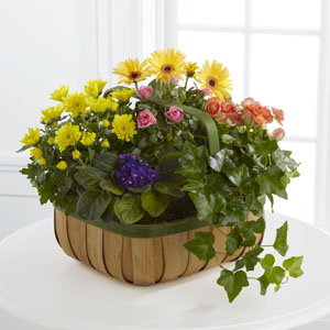 The FTD� Gentle Blossoms� Basket