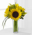 The FTD� Sunshine Daydream� Bouquet