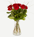 Romantic Red Roses