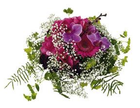 Arrangement of Seasonal Cut Flowers