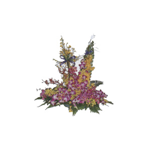 Arrangement of Orchids