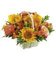 The FTD� Happy Blooms� Basket