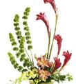 The FTD� Touch of Tropics� Arrangement