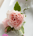 The FTD� Pink Spray Rose Boutonniere
