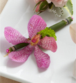 The FTD� Pink Mokara Boutonniere